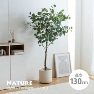 フェイクグリーン｜ユーカリ｜人工｜観葉植物｜光触媒｜インテリア