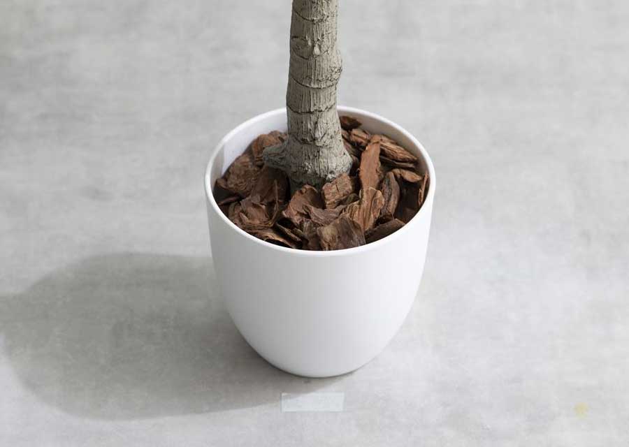 観葉植物 ユーカリ 人工観葉植物 フェイクグリーン 光触媒 Nature ナチュレ 高さ85cm インテリア