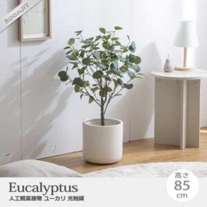 観葉植物 ユーカリ 人工観葉植物 フェイクグリーン 光触媒 Nature ナチュレ 高さ85cm インテリア
