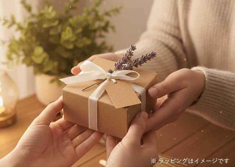 オルゴナイト 風水 運気 置物 インテリア 通販