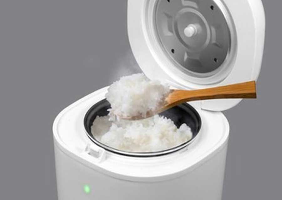 RM-219TE 2合炊飯器 HITORIDAKI キッチン 通販 インテリア